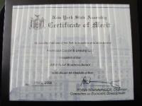 Certificate of Merit 